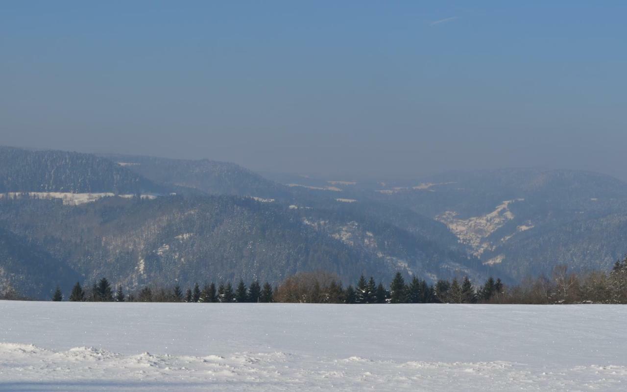 Penzion Sonnenhof Schramberg Exteriér fotografie